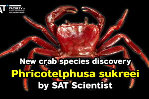 1. New Crab Species2